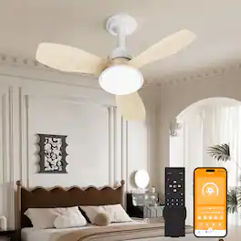 Loheer - Ceiling Fan with Light, 24.4 Inch Wood Grain Flush Mount, Quiet Reversible DC Motor, Remote App Control