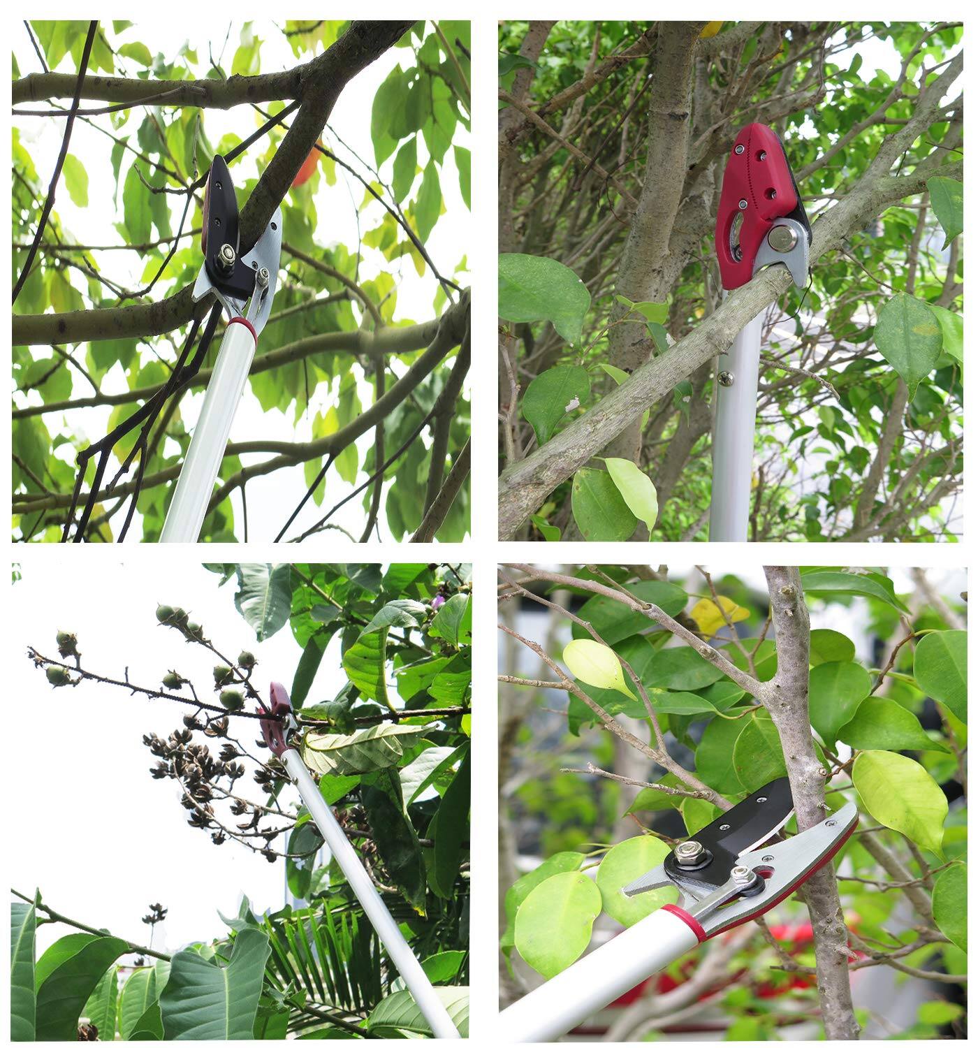 Alt View 2. JETRANSPORT - 2 Feet Cut And Hold Tree Pruner  Rotation Pole Trimming Short Reach Fruit Picker Branches Bypass Lopper Premiu - 4 Feet Cut and Hold Pruner.