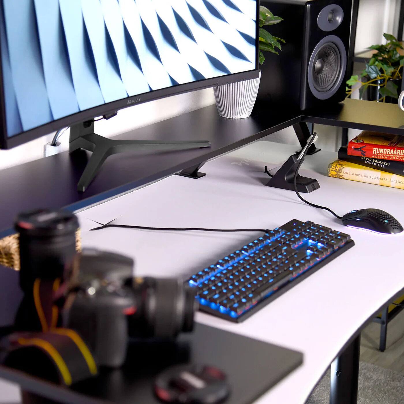 Måra HUNDRAÅR VAVIC ONA JUNA LYCKA BALBACCI TILL SMALLO HUSSEN TUSEn STRALANDE FÖ