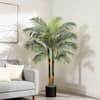 Front. NOVAROOT - 6Ft Artificial Golden Cane Palm Tree with Lights Tall Double Stalk Large Tropical Fake Tree - Green.