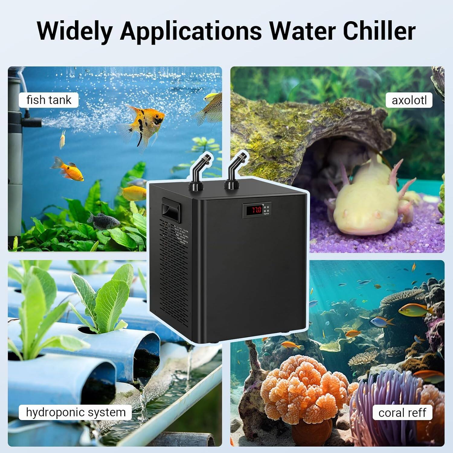 Widely Applications Water Chiller

- fish tank
- axolotl
- hydroponic system
- coral reef