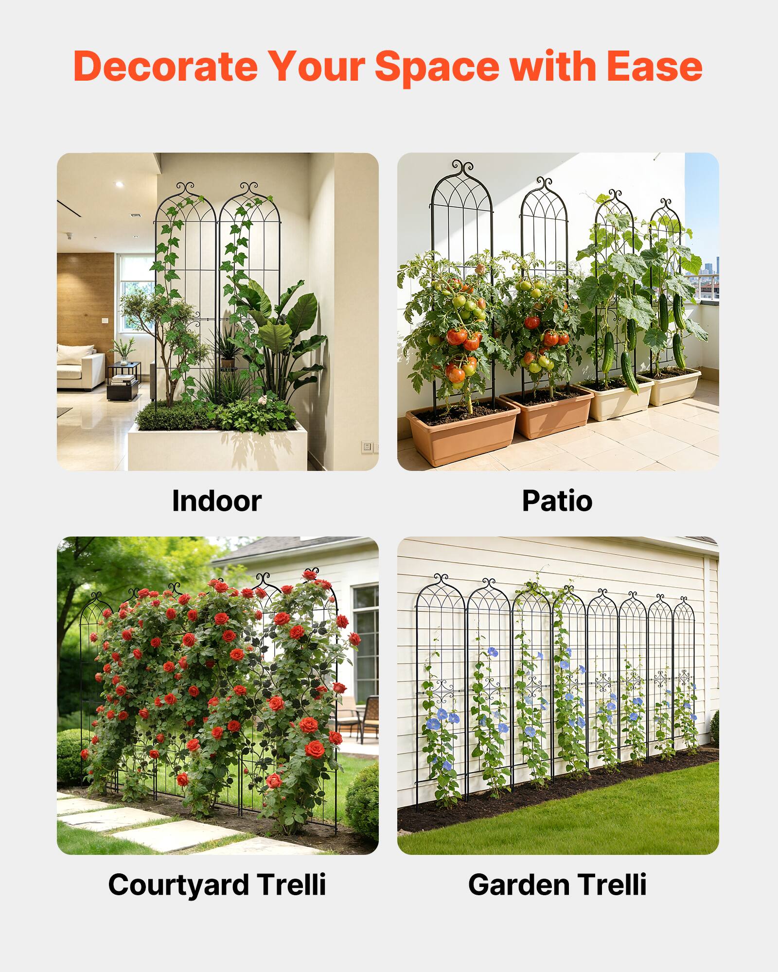 Decorate Your Space with Ease

Indoor

Patio

Courtyard Trelli

Garden Trelli