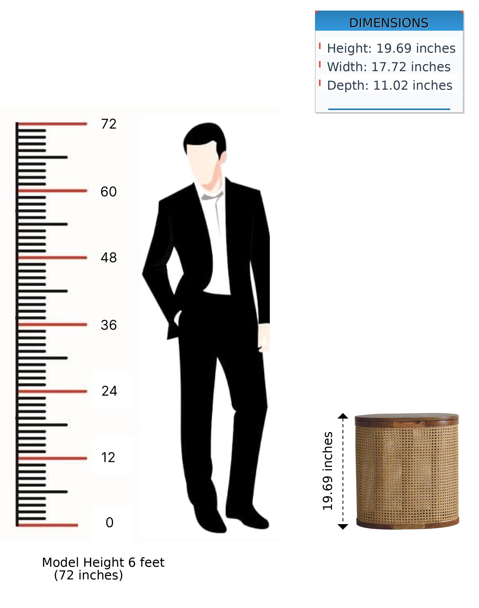 DIMENSIONS  
Height: 19.69 inches  
Width: 17.72 inches  
Depth: 11.02 inches  

Model Height 6 feet (72 inches)