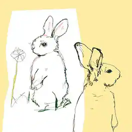 Beat Happening - Look Around - VINYL LP
