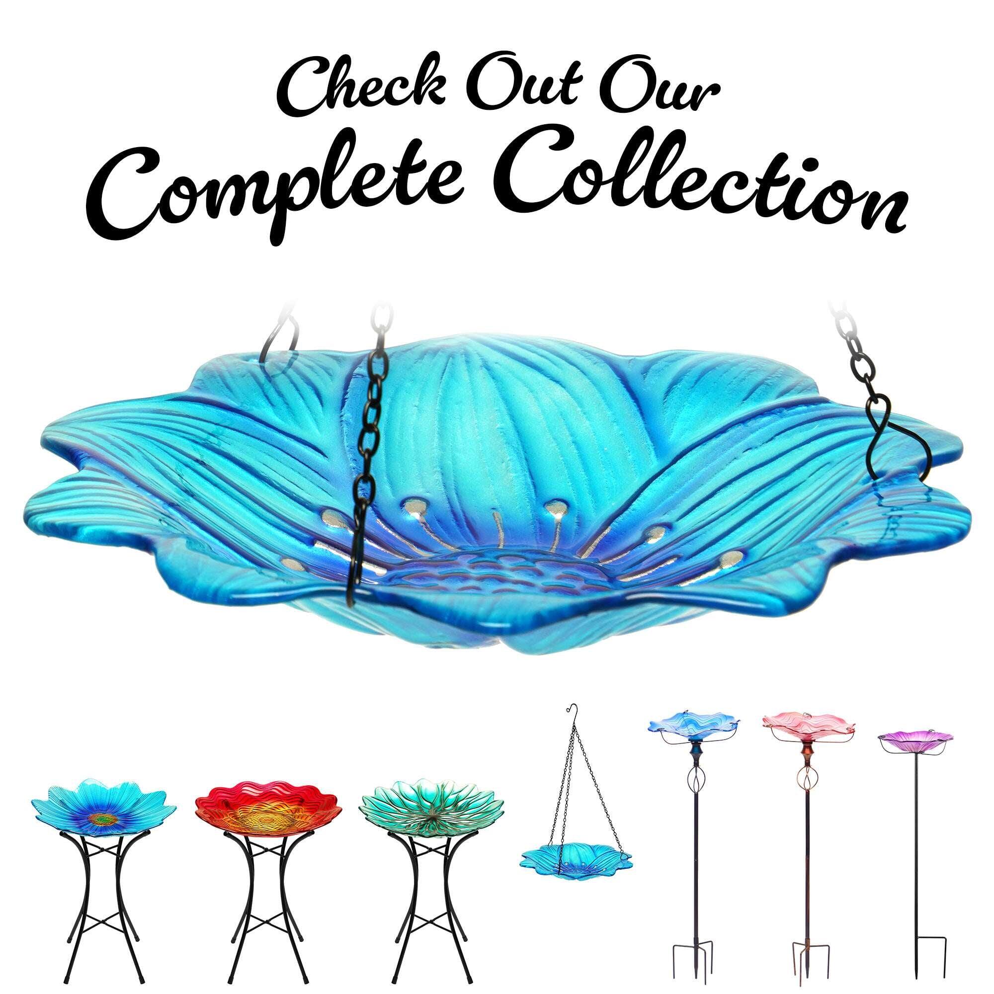 Check Out Our Complete Collection