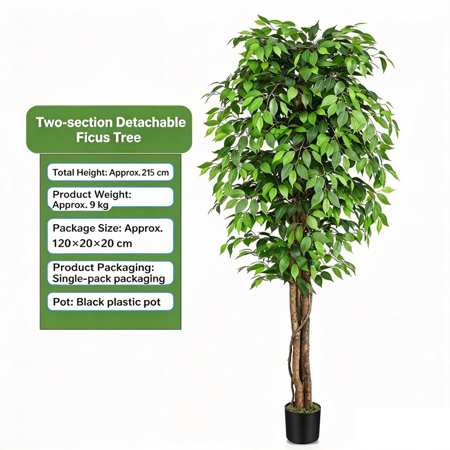 Two-section Detachable Ficus Tree

Total Height: Approx. 215 cm
Product Weight: Approx. 9 kg
Package Size: Approx. 120x20x20 cm
Product Packaging: Single-pack packaging
Pot: Black plastic pot