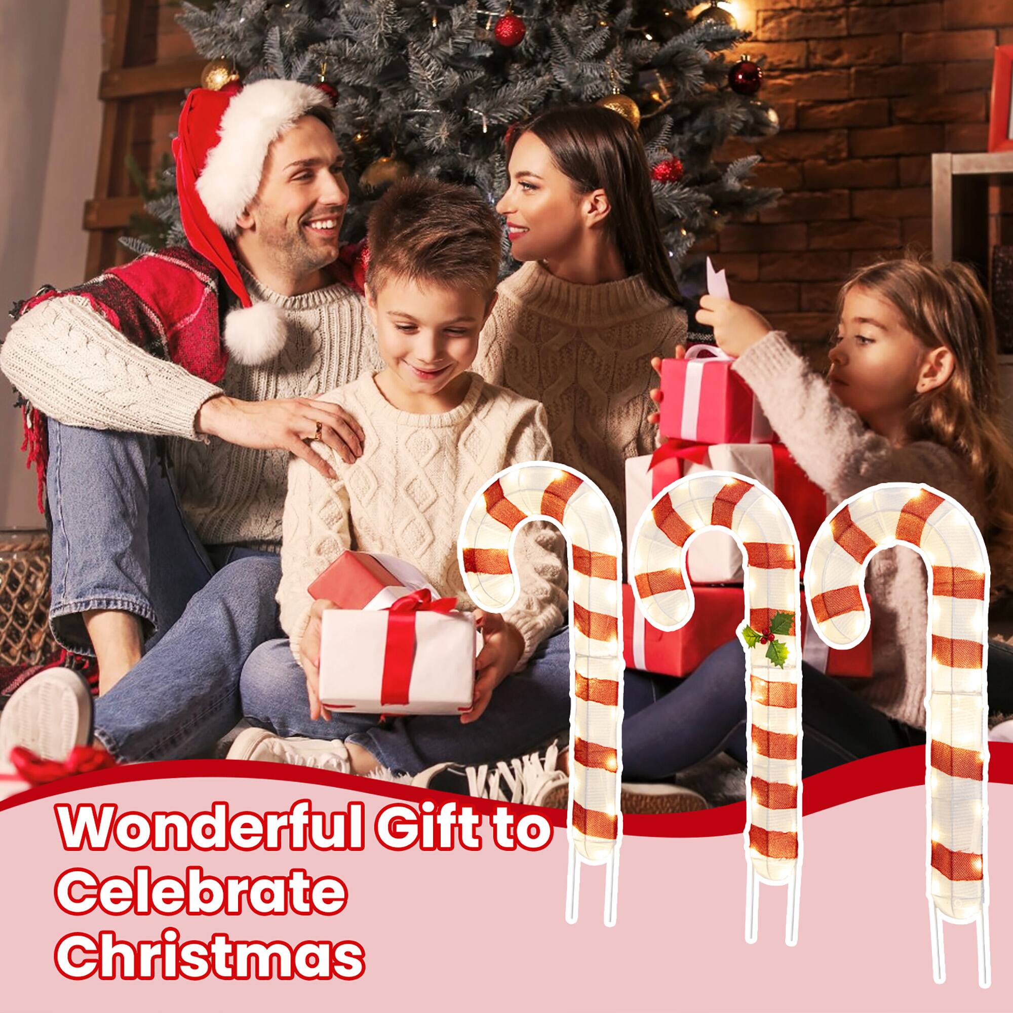 Wonderful Gift to Celebrate Christmas