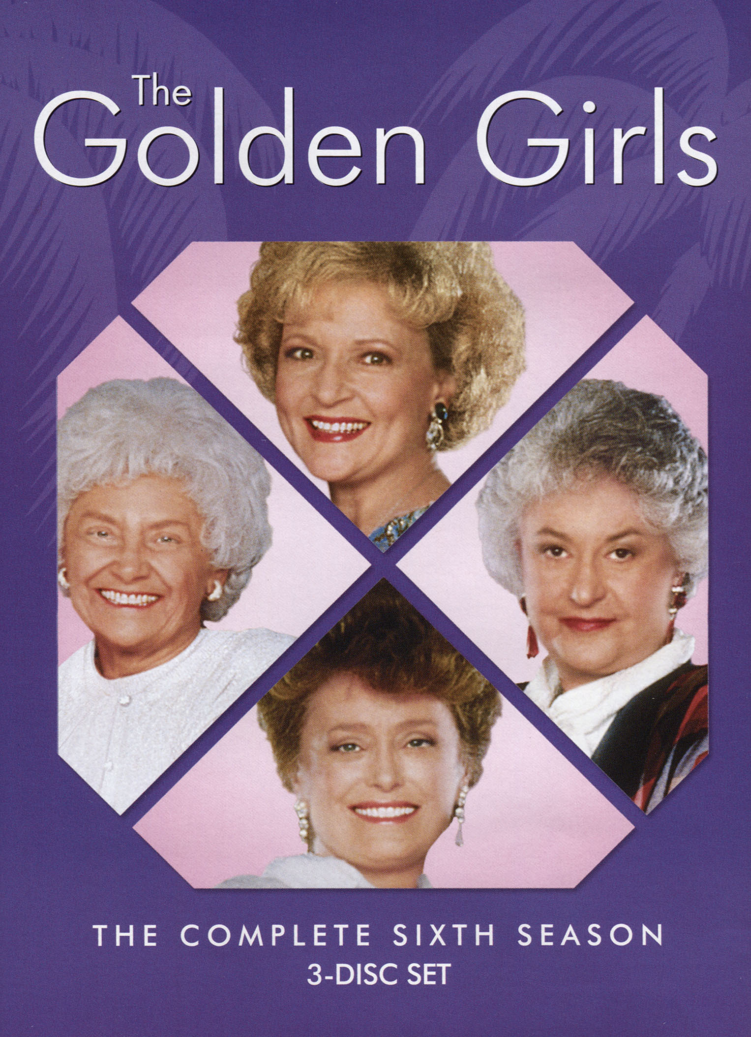 Best Buy The Golden Girls Season 6 Dvd