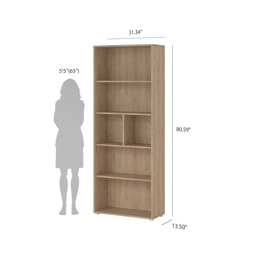 31.34"  
5'5" (65")  
80.59"  
13.50"