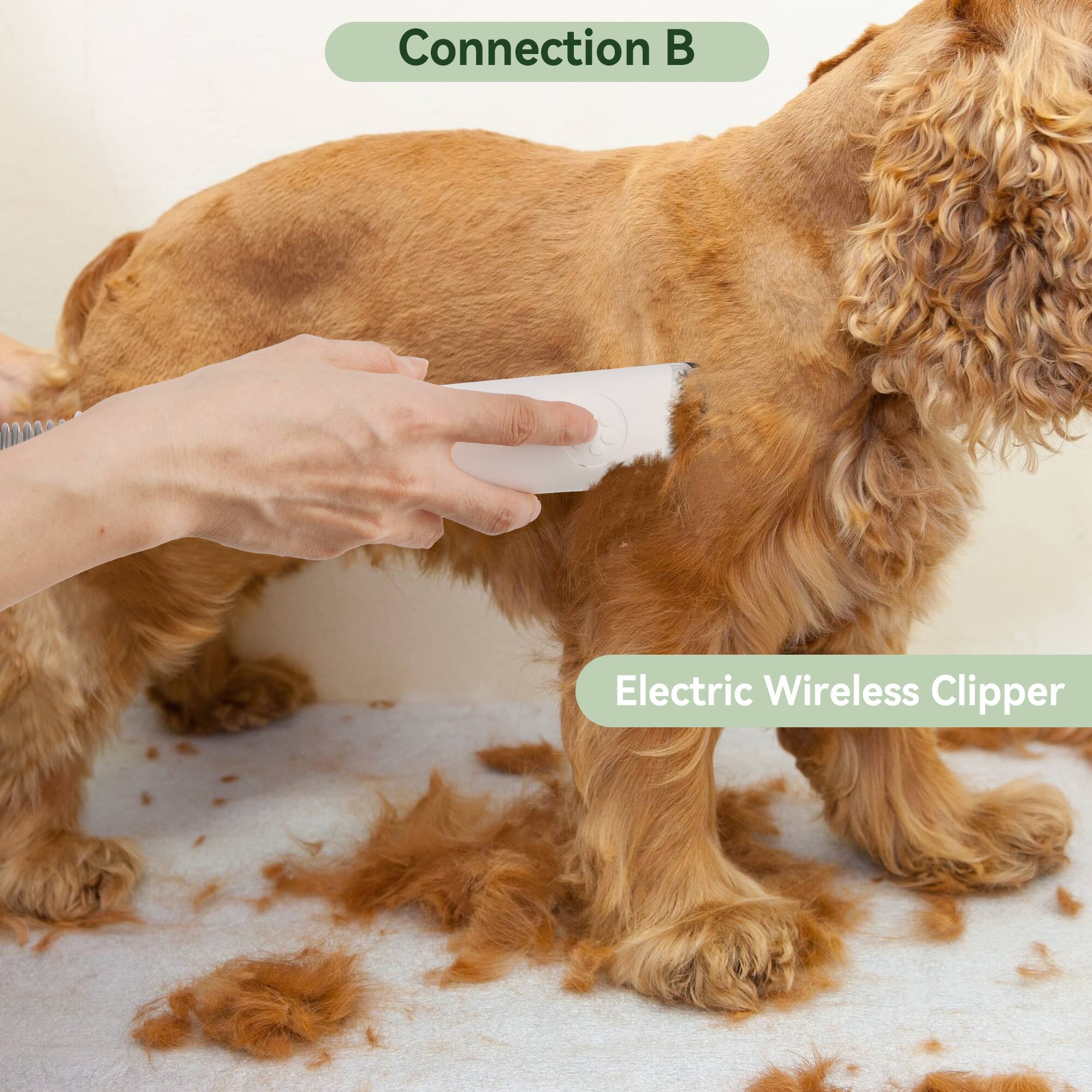 Connection B  
Electric Wireless Clipper