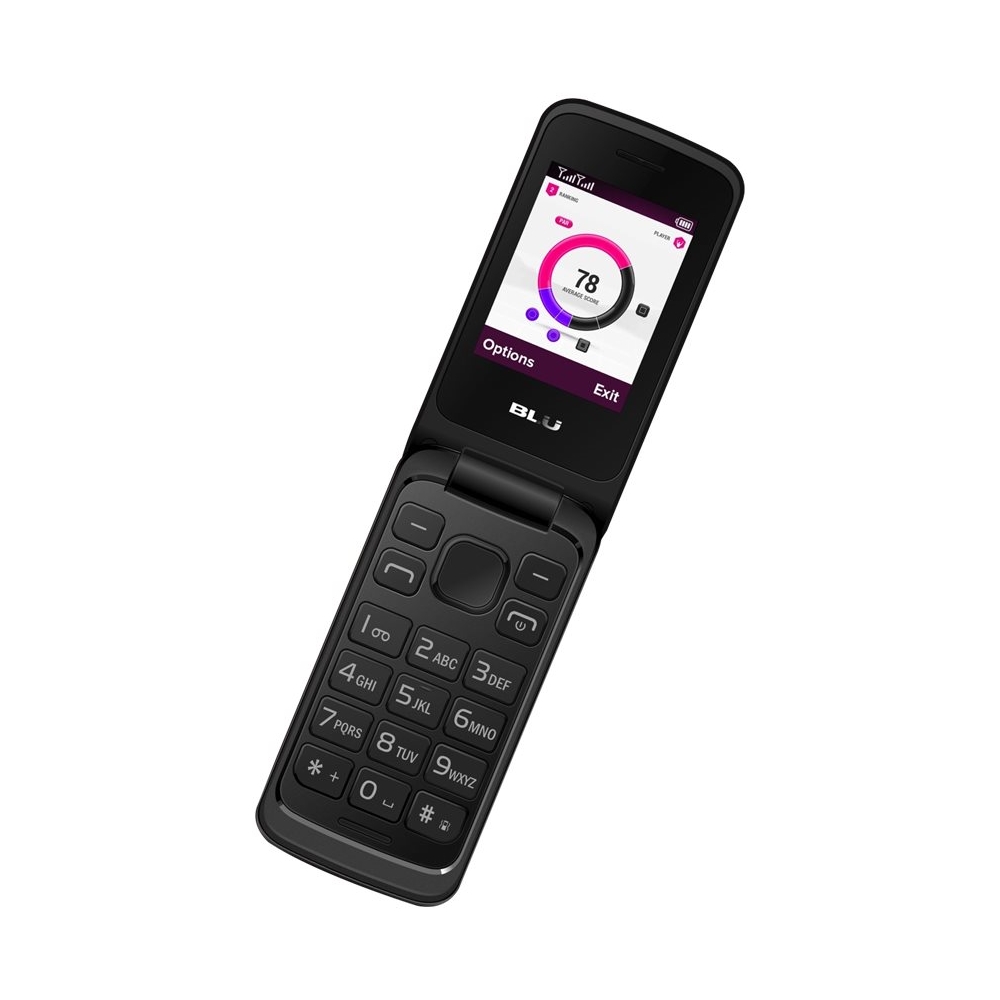 Forud type eftermiddag Ferie Best Buy: BLU Diva FLEX 2.4 T350 Cell Phone (Unlocked) Gray T350 GRAY
