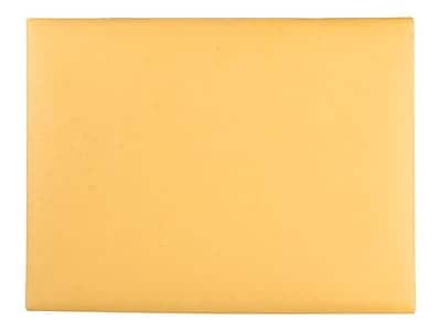 "Quality Park - Clasp Catalog Envelopes, 9""L x 12""H, 100/Box - Kraft" price history on PriceWatchPro