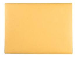 Quality Park - Clasp Catalog Envelopes, 9"L x 12"H, 100/Box - Kraft