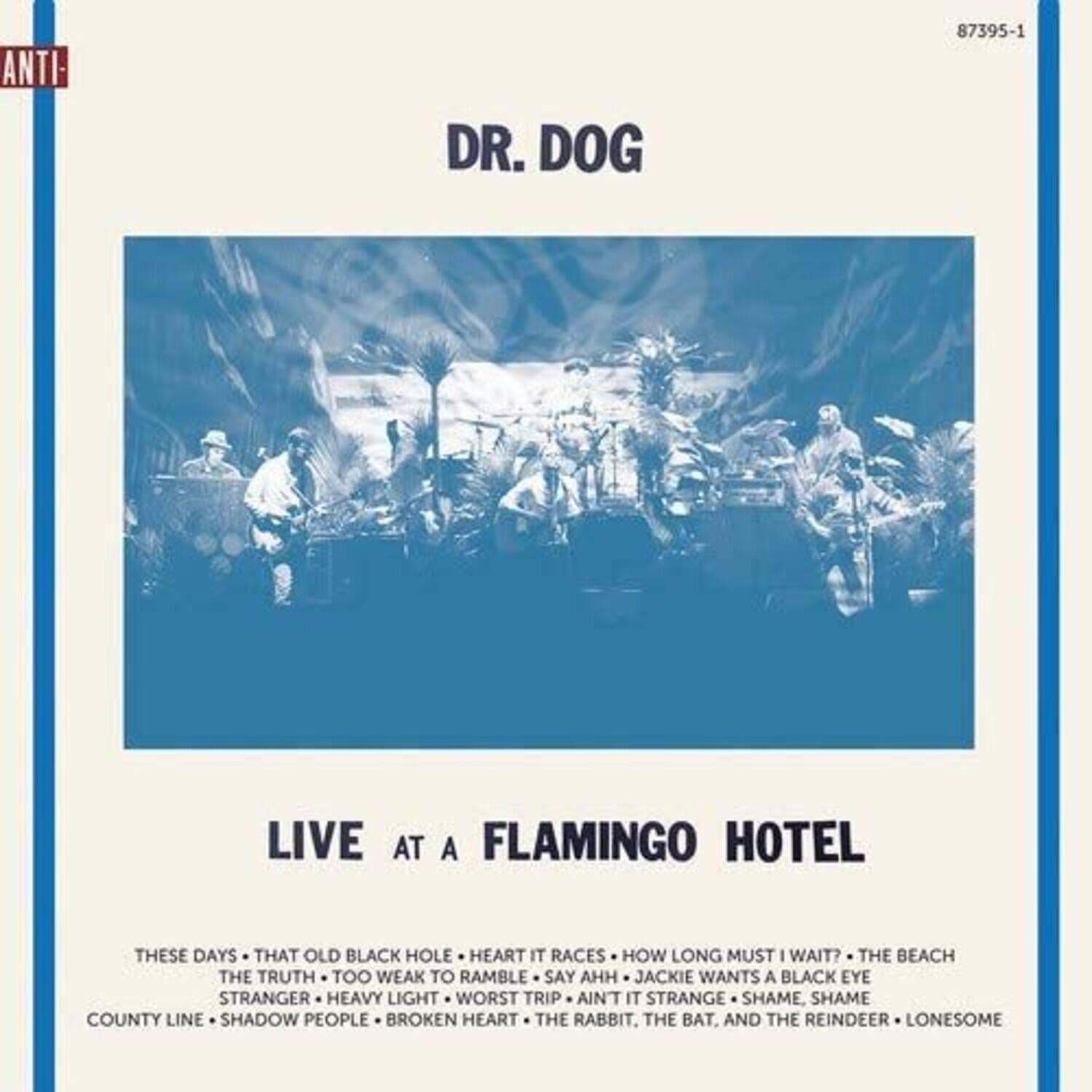 Dr Dog - Live At A Flamingo Hotel - VINYL LP