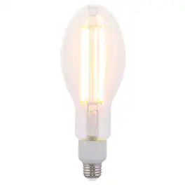 Westinghouse - ED28 E26 (Medium) Filament LED Bulb Warm White 300 Watt Equivalence 1 pk