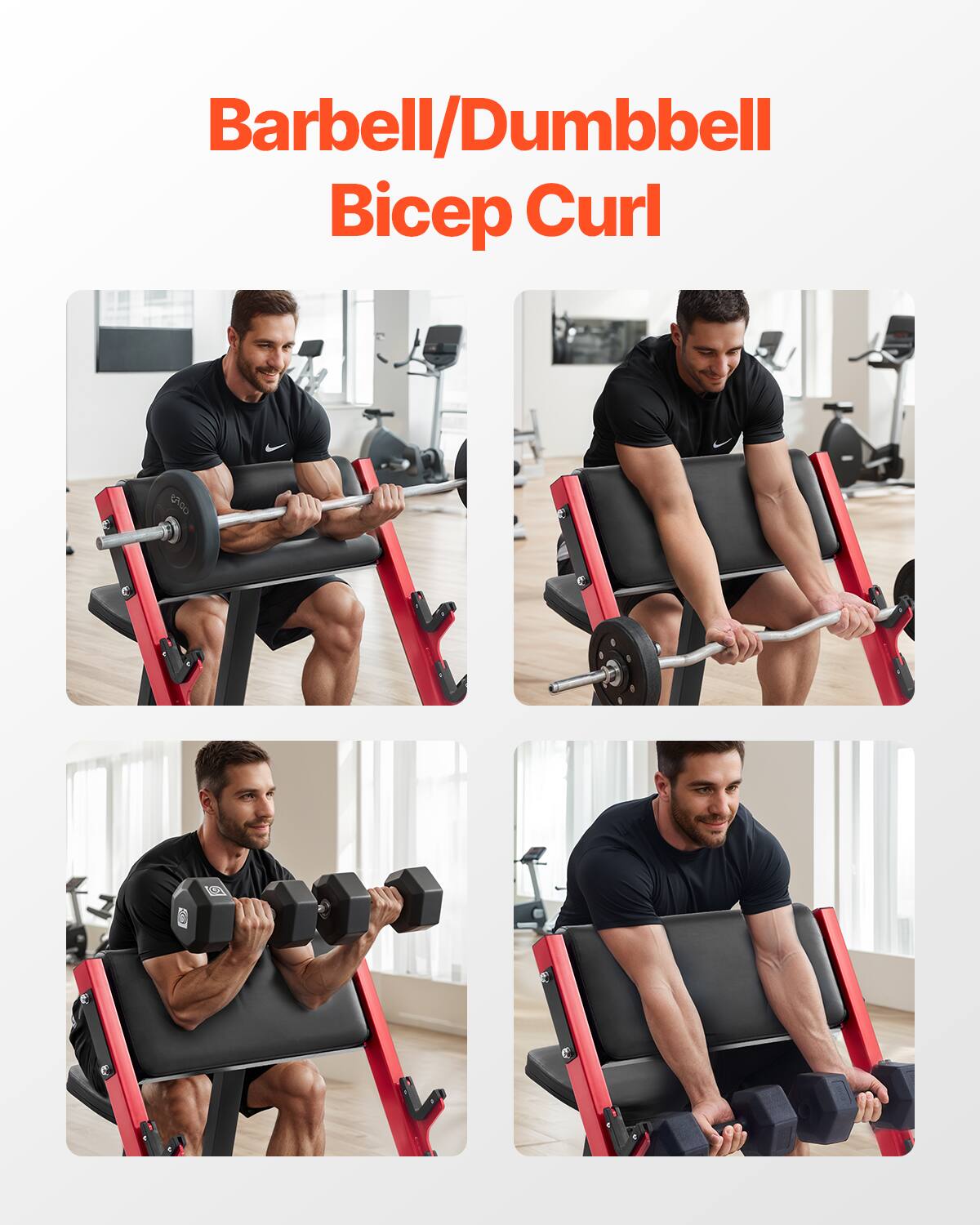 Barbell/Dumbbell Bicep Curl