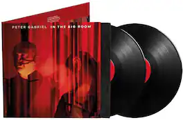 Peter Gabriel - In The Big Room - VINYL LP