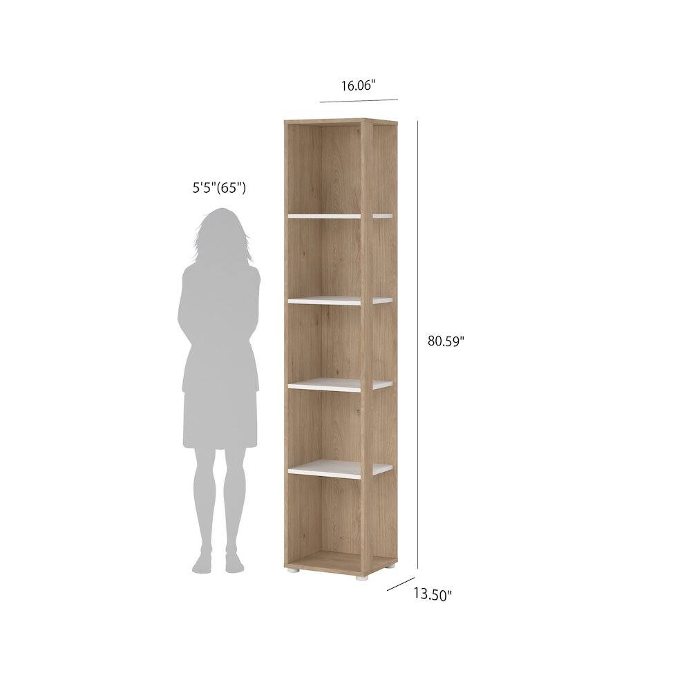 16.06" 5'5" (65") 80.59" 13.50"