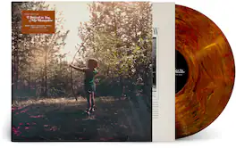 Josh Ritter - I Believe In You, My Honeydew - VINYL LP