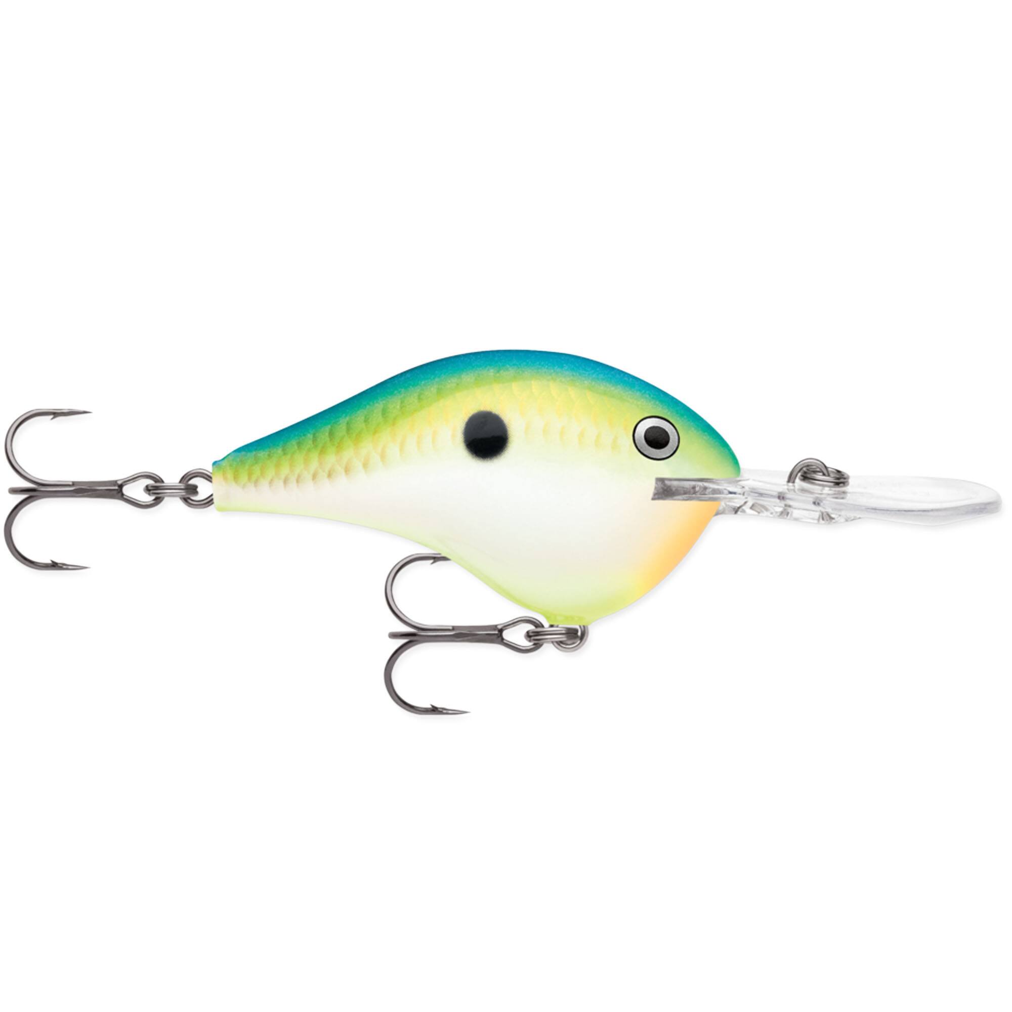 Citrus Shad