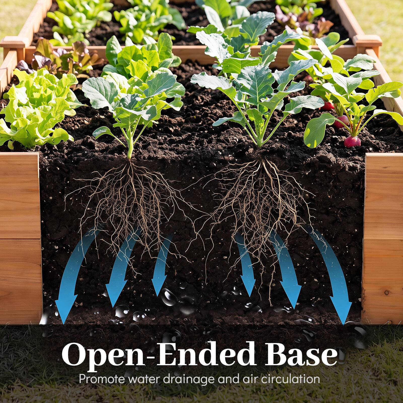 Open-Ended Base  
Promote water drainage and air circulation