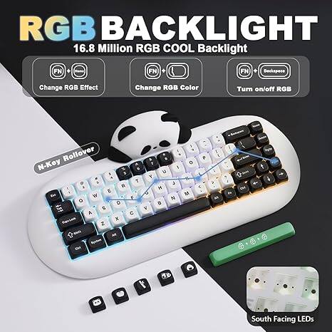 RGB Backlight 16.8 Million RGB Cool Backlight

- FN + Hame: Change RGB Effect
- FN + FN + Deckspace: Change RGB Color
- FN + FN + Deckspace: Turn on/off RGB

Rollover: 4 N-Key

Key Layout:
- Q W E R T Y U I O P
- A S D F G H J K L
- Z X C V B N M

Additional Features:
- South Facing LEDs