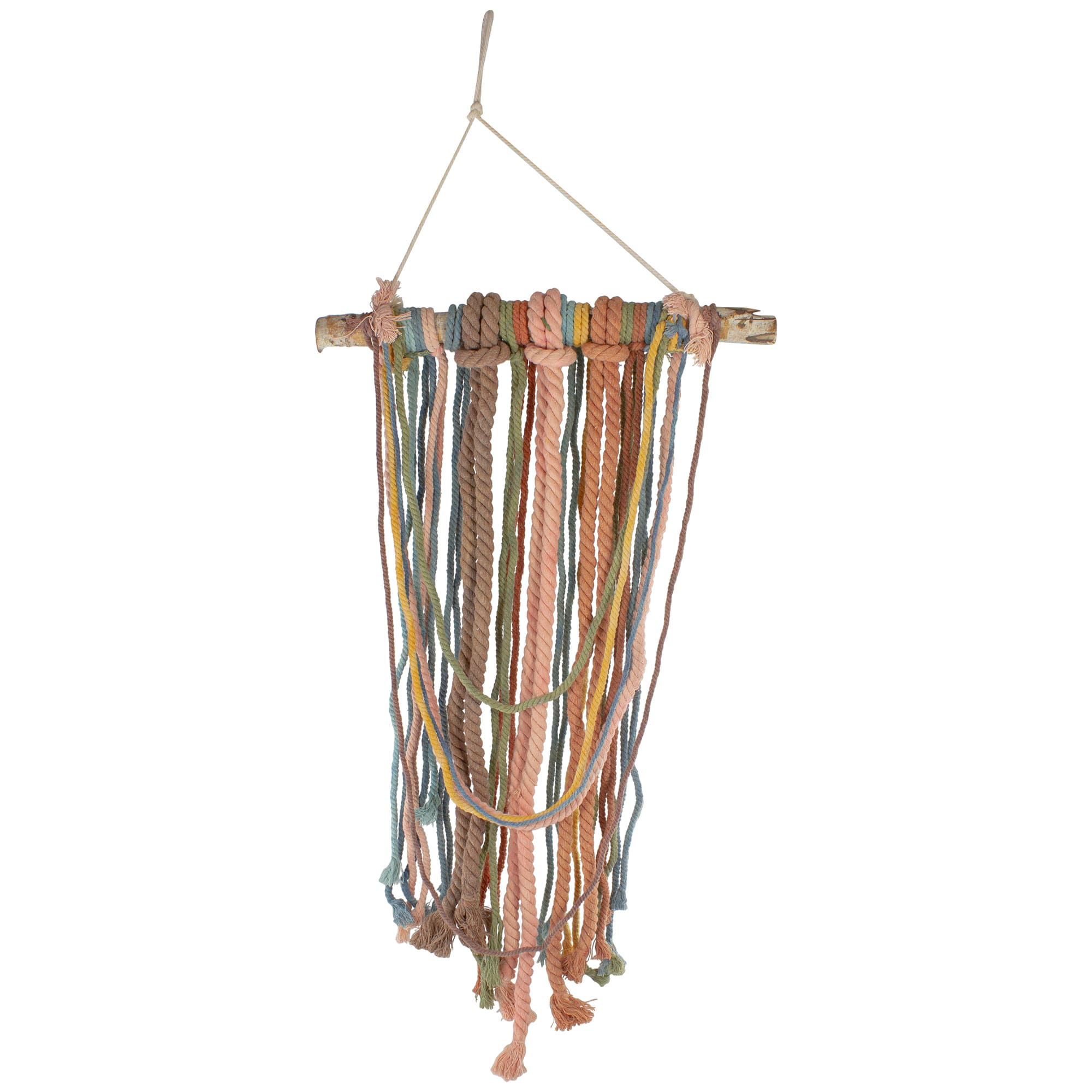 Northlight - 37" Rustic Knotted Rope on Birch Branch Boho Wall Art Decoration - Blue