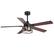 Angle. Breezary - 52-Inch Indoor Ceiling Fan with Light Kit, 5 Plywood Dual-Finish Blades, DC Motor, 5/10'' Downrods, Remote, Glass Shade - Black and Dark Walnut.
