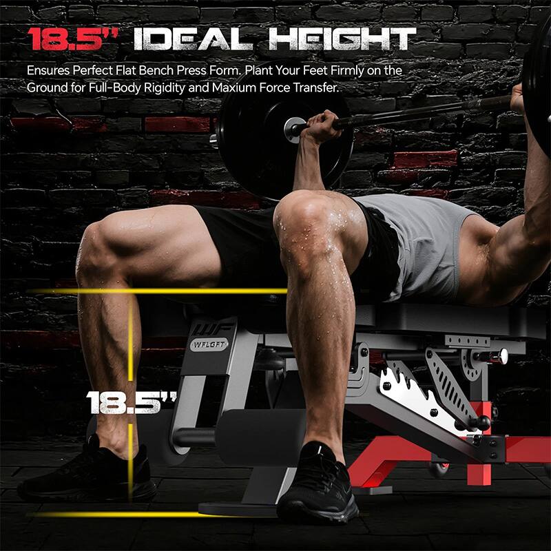 18.5" IDEAL HEIGHT  
Ensures Perfect Flat Bench Press Form. Plant Your Feet Firmly on the Ground for Full-Body Rigidity and Maximum Force Transfer.  

WF WFLGFT 18.5"