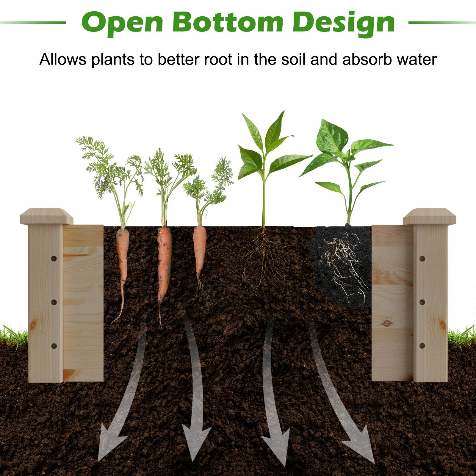 Open Bottom Design  
Allows plants to better root in the soil and absorb water