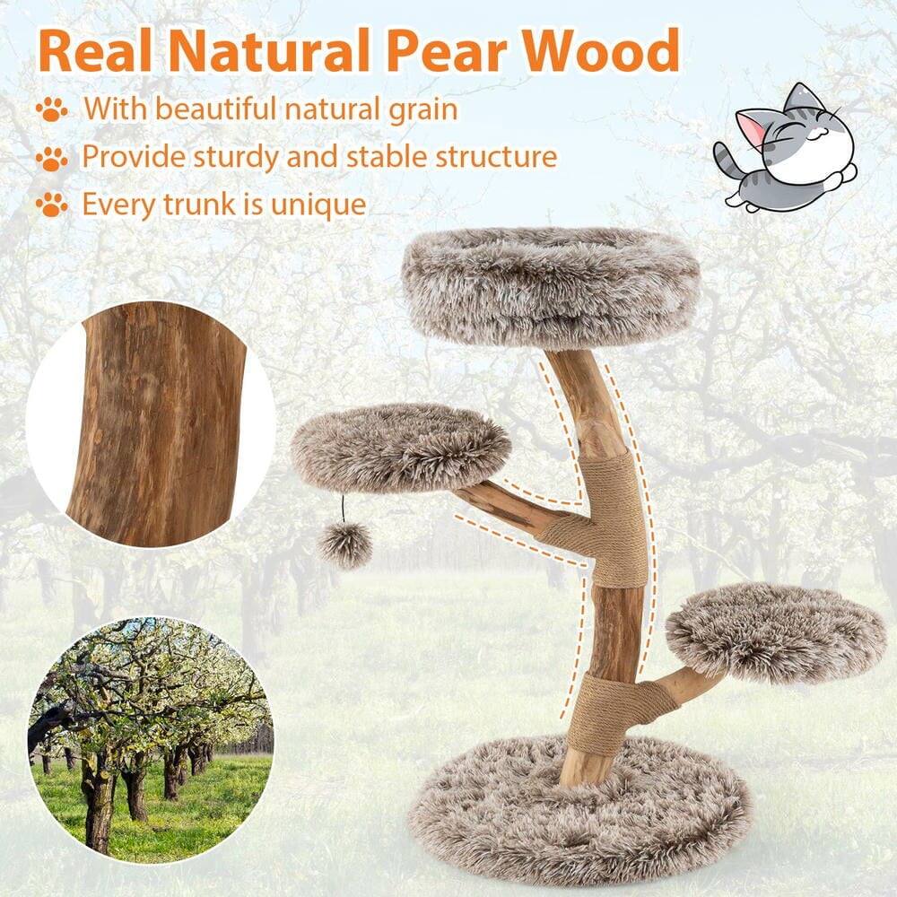 Real Natural Pear Wood

- With beautiful natural grain
- Provide sturdy and stable structure
- Every trunk is unique