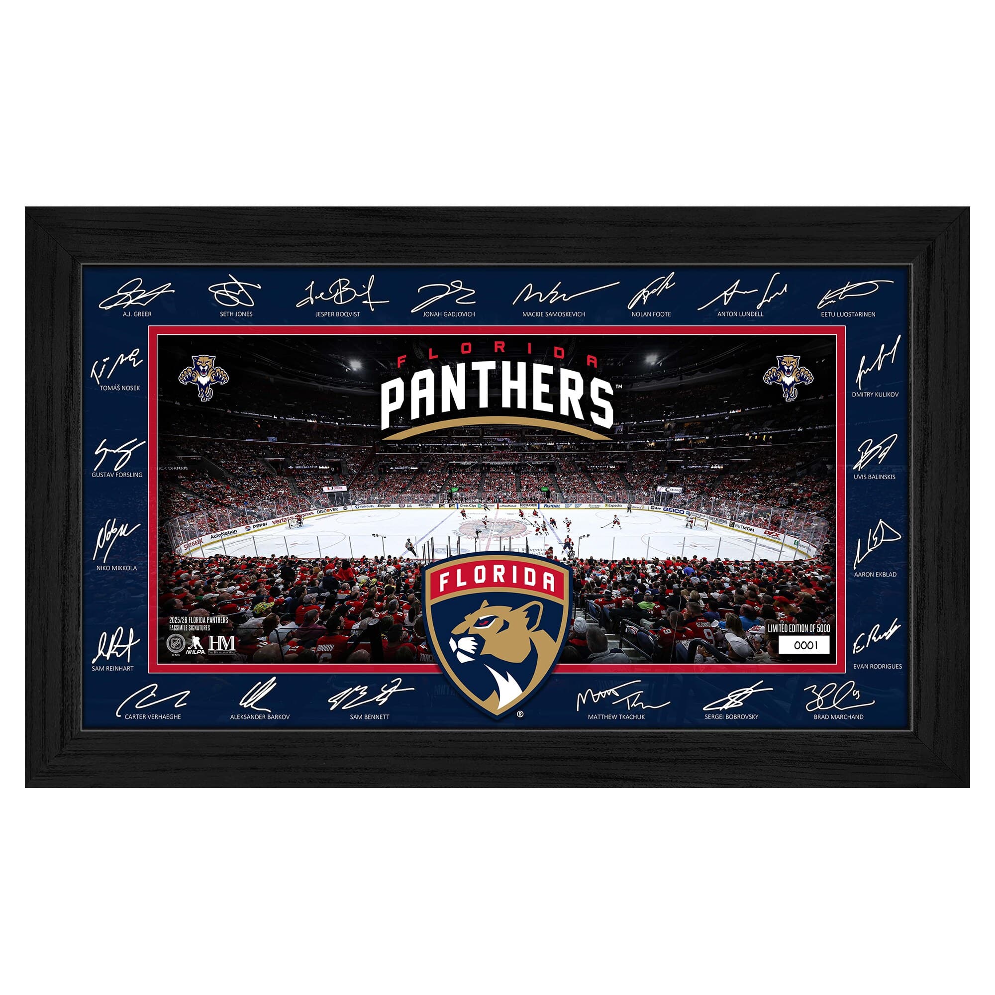 Highland Mint - Florida Panthers 2025 Signature Rink Framed Art - Multicolor price history on PriceWatchPro