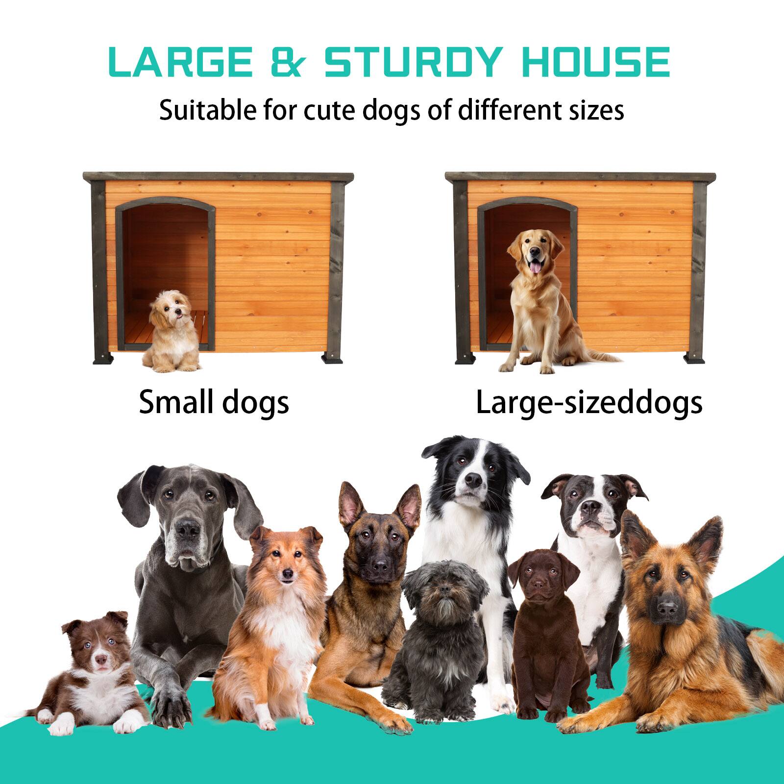 LARGE & STURDY HOUSE  
Suitable for cute dogs of different sizes  

Small dogs  

Large-sized dogs