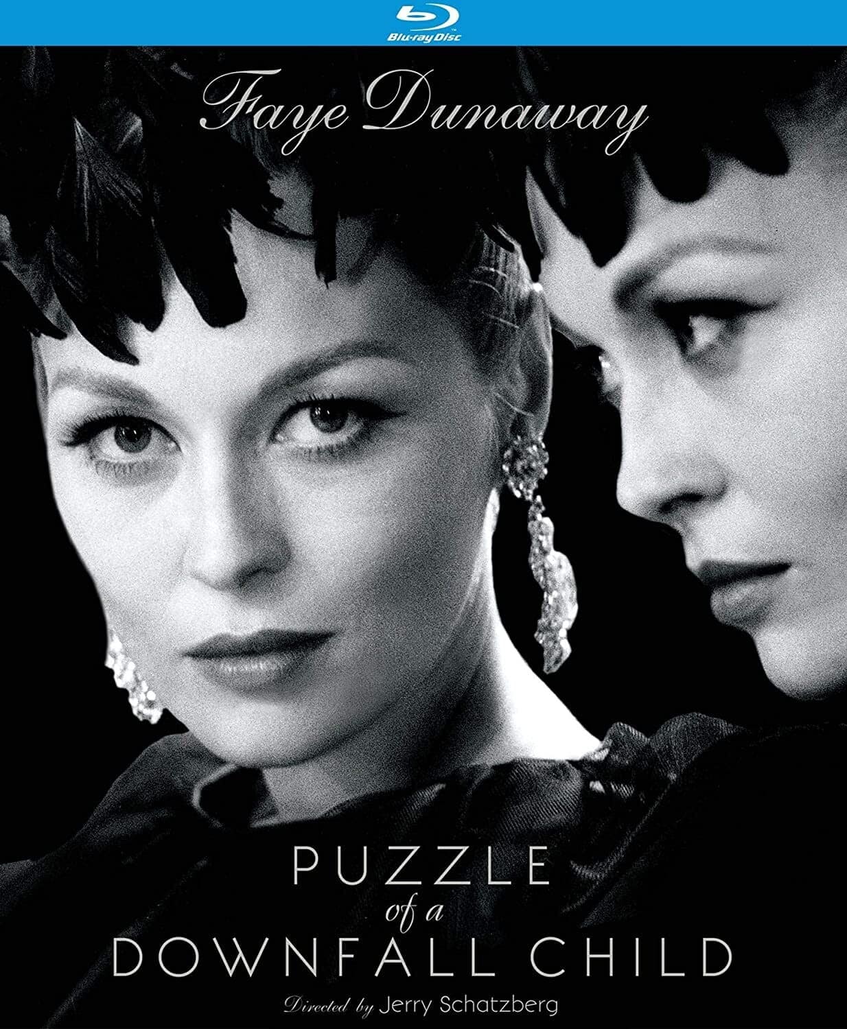 Puzzle of a Downfall Child  - BLU-RAY