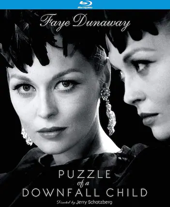 Front. Puzzle of a Downfall Child - BLU-RAY.