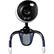 Alt View Standard 20. Cobra - Webcam - 0.3 Megapixel - USB.