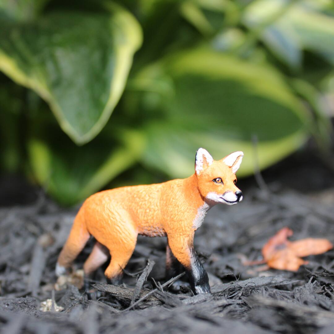 Back. Safari Ltd. - Red Fox Kit Toy Figurine.
