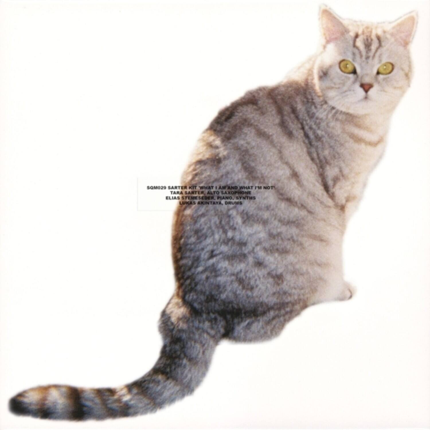 SQM029 SARTER KIT WHAT AM I AND WHAT I'M NOT  
TARA SARTER, ALTO SAXOPHONE  
ELIAS STEMMESDER, PIANO, SYNTHS  
LUKAS AKINTAYA, DRUMS