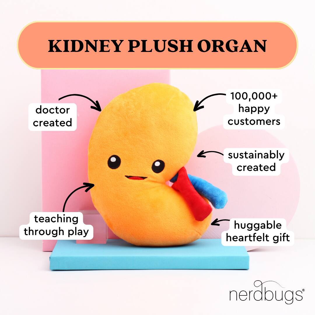 KIDNEY PLUSH ORGAN

- doctor created
- teaching through play
- sustainably created
- huggable heartfelt gift
- 100,000+ happy customers

nerdbugs®