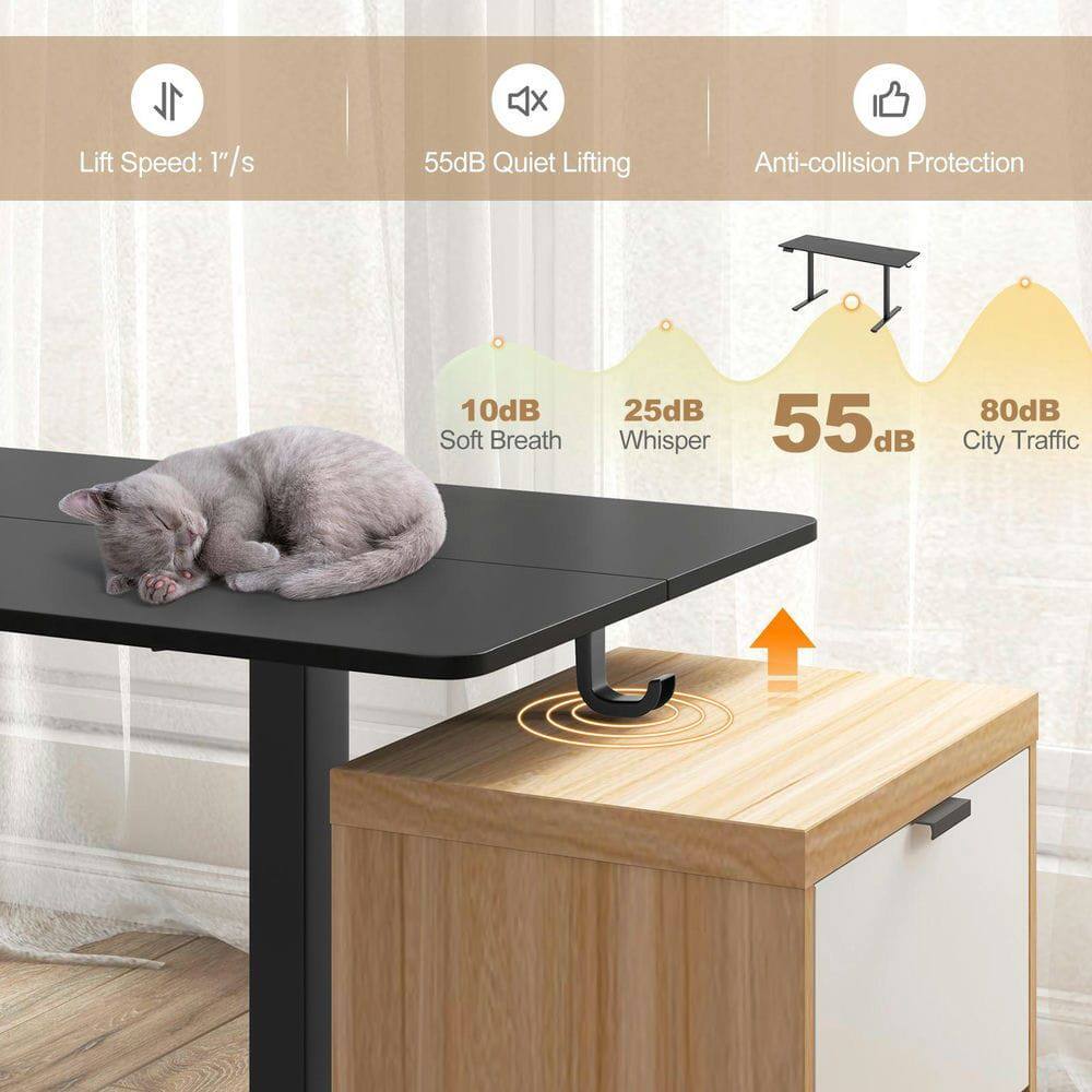 1L Lift Speed: 1"/s  
4x  
55dB Quiet Lifting  
Anti-collision Protection  
10dB Soft Breath  
25dB Whisper  
55dB  
80dB City Traffic