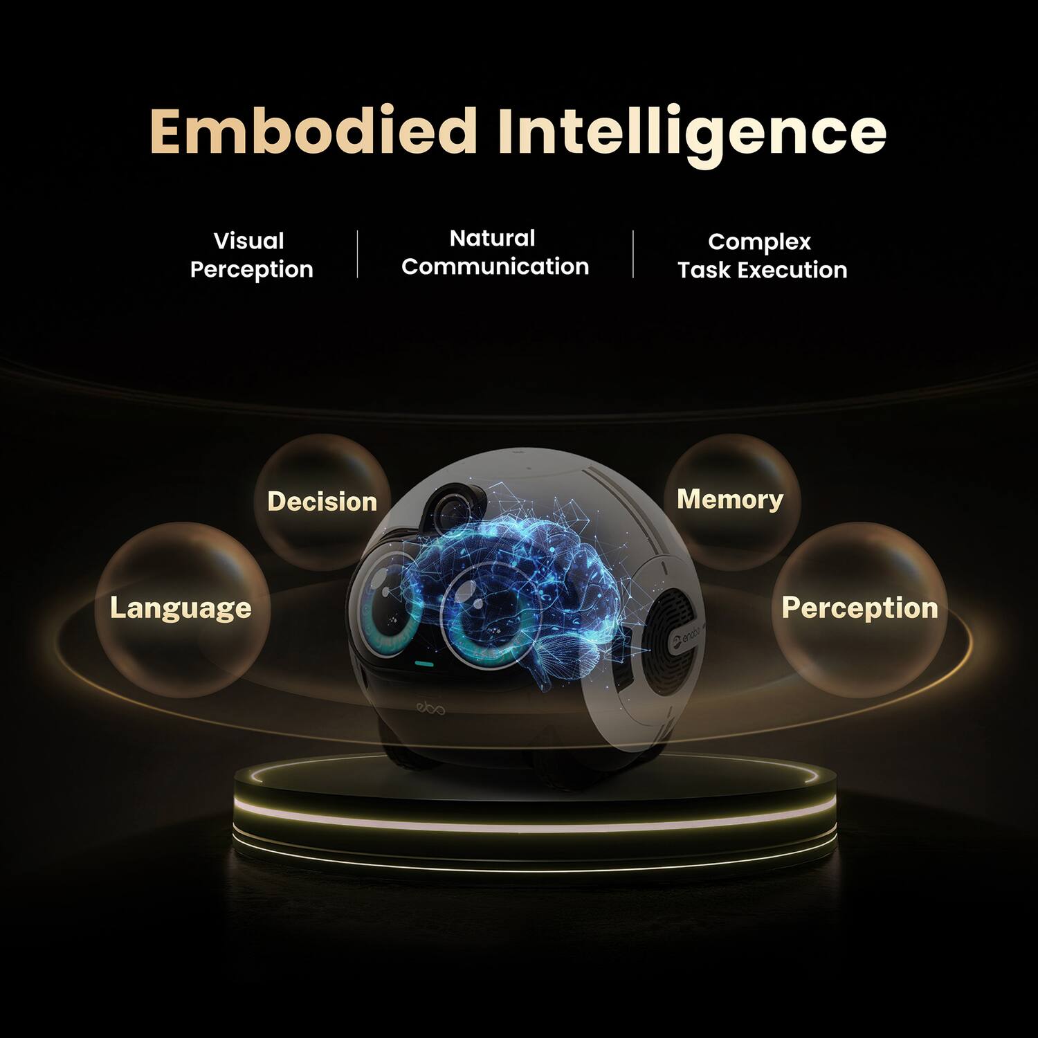Embodied Intelligence

- Visual Perception
- Natural Communication
- Complex Task Execution
- Decision
- Memory
- Language
- Perception