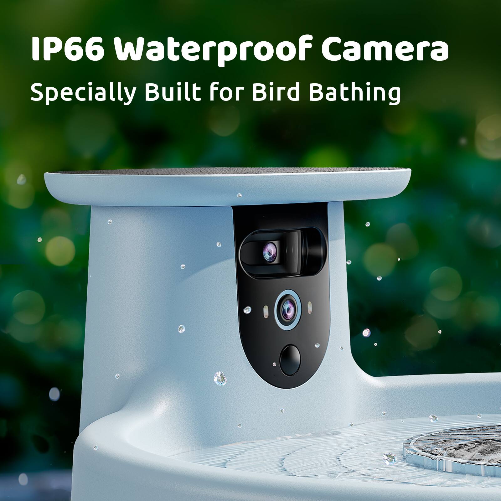 IP66 Waterproof Camera Specially Built for Bird Bathing