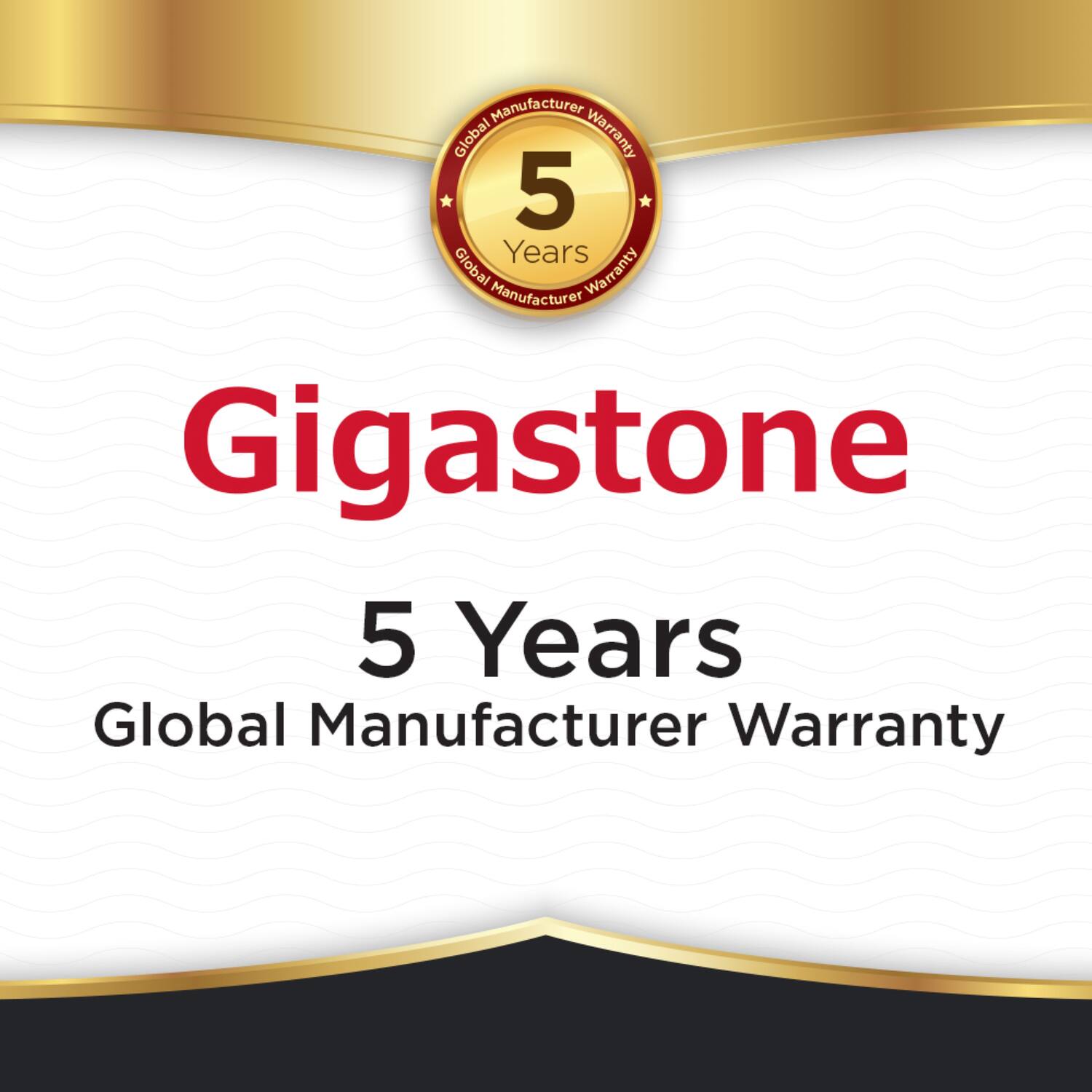 Gigastone  
5 Years  
Global Manufacturer Warranty