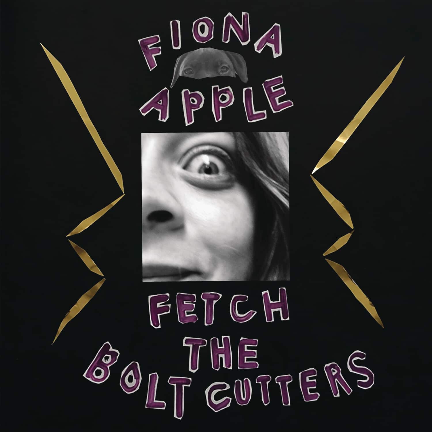 Fiona Apple  
Fetch the Bolt Cutters
