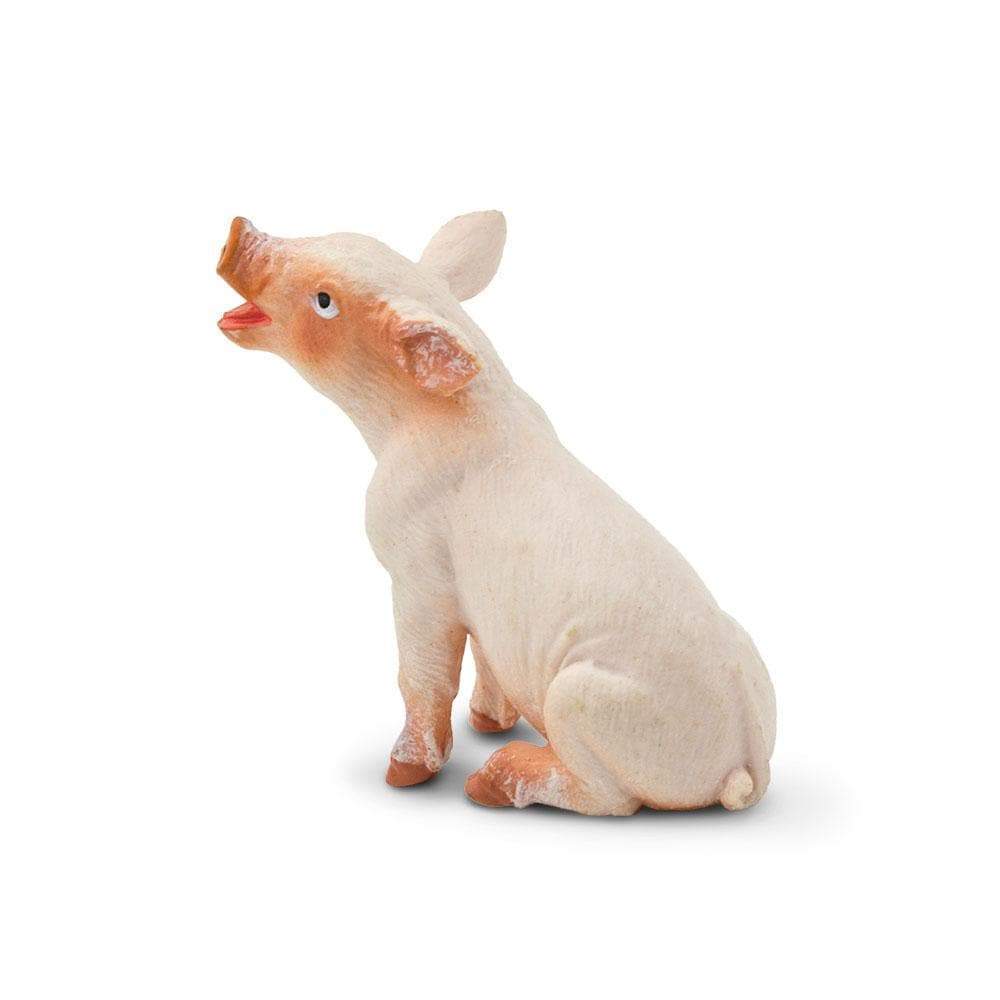 Alt View 2. Safari Ltd. - Sitting Piglet.