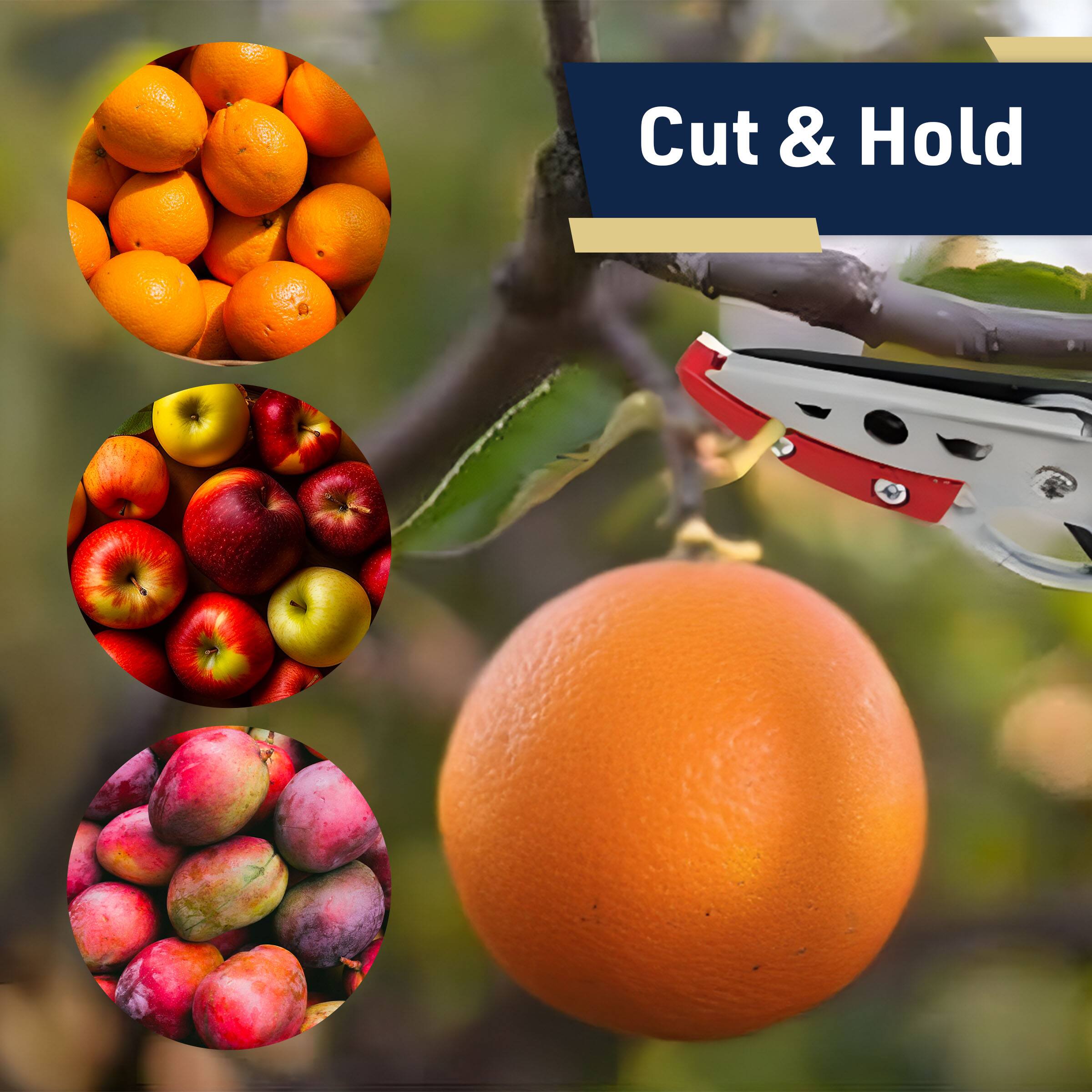 Cut & Hold