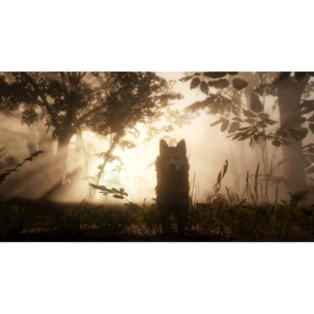 Alt View 19. Rockstar Games - Red Dead Redemption 2.