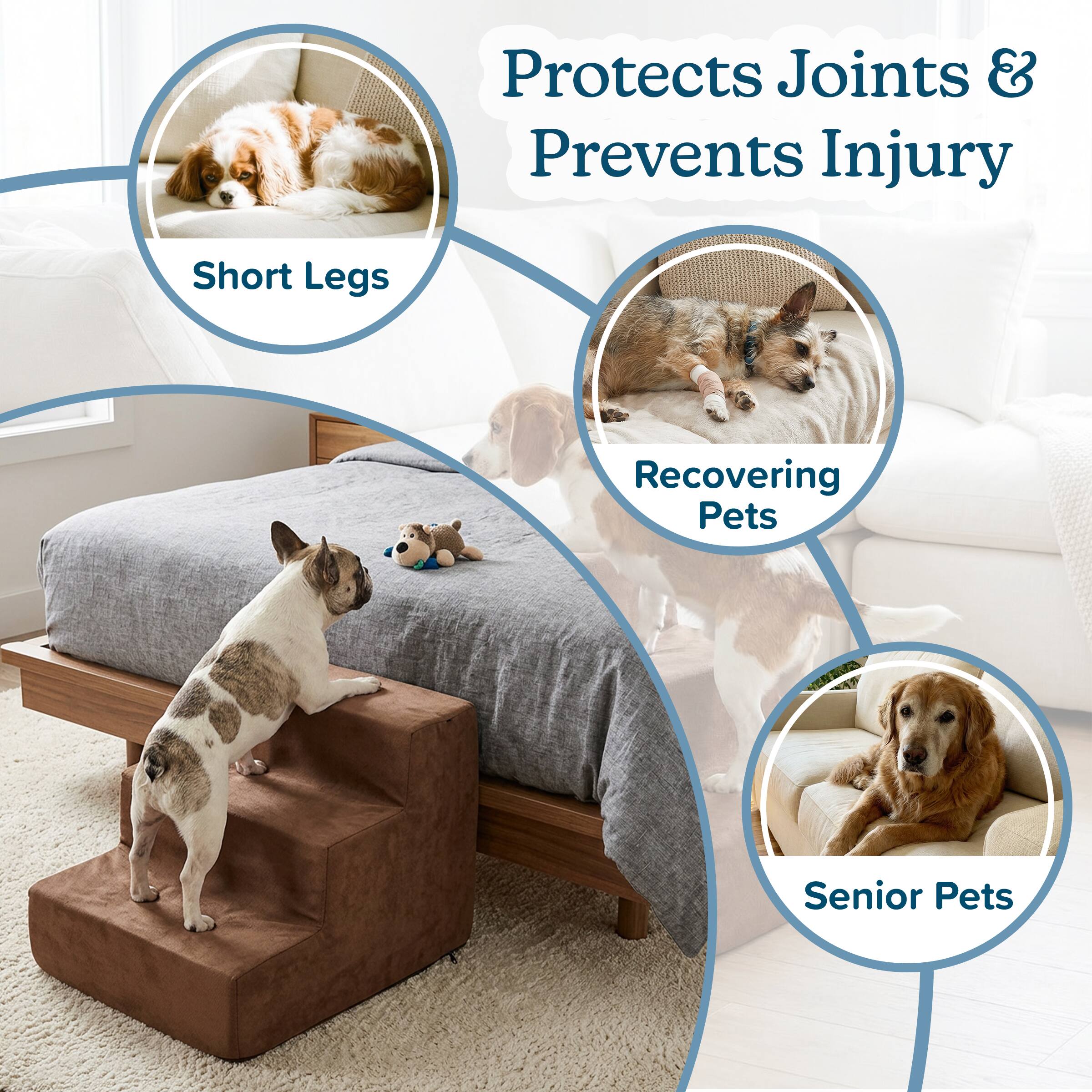 Protects Joints & Prevents Injury  
- Short Legs  
- Recovering Pets  
- Senior Pets