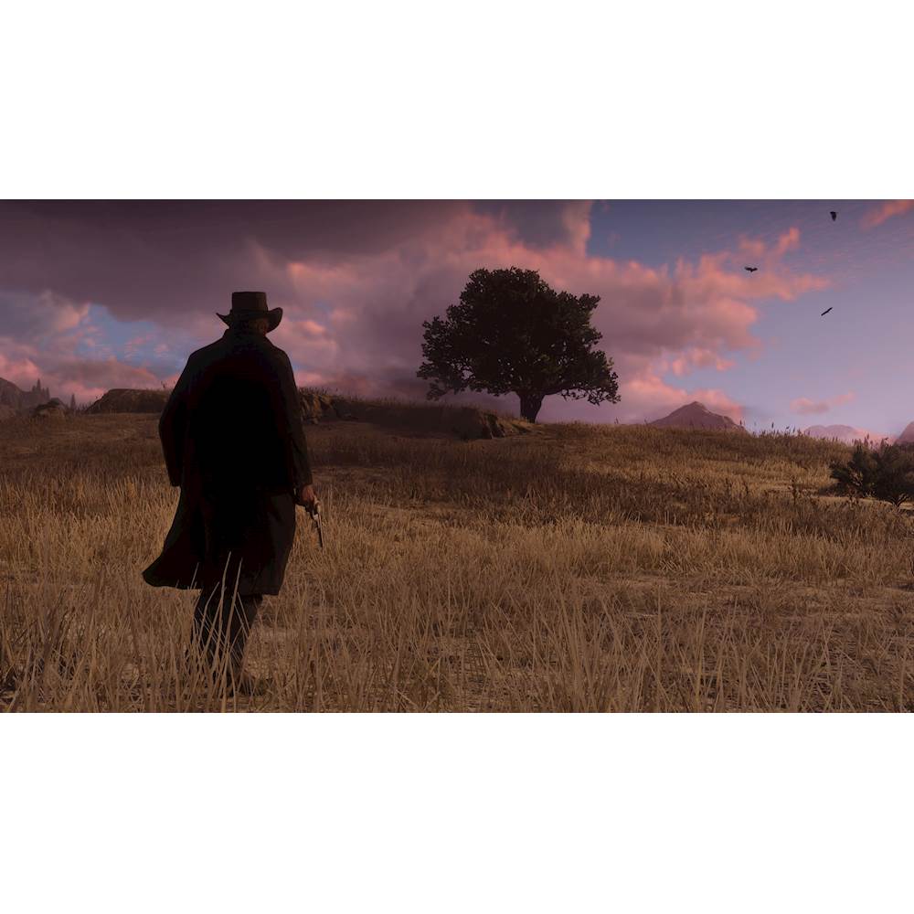 Red Dead Redemption 2 Standard Edition Xbox One 49891 - Best Buy