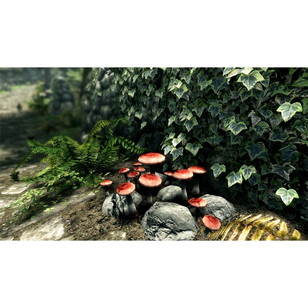 Alt View 11. Bethesda - The Elder Scrolls V: Skyrim.